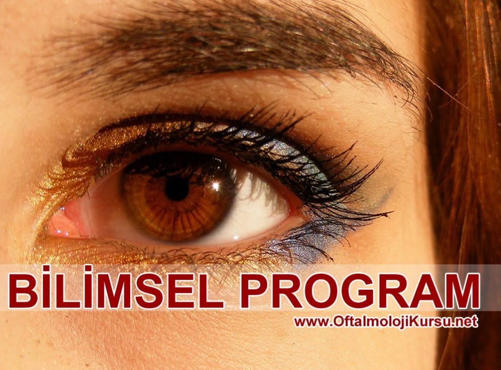 bilimsel program