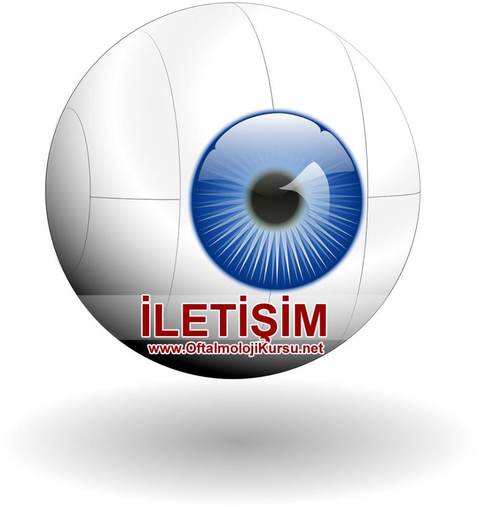 iletisim